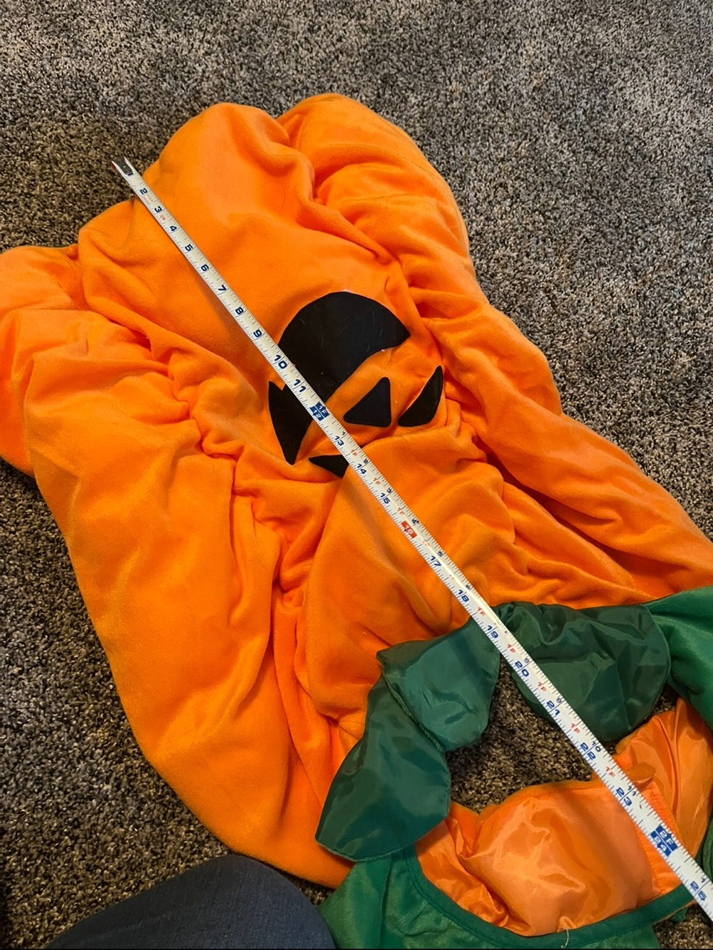 Pumpkin Halloween dog costume